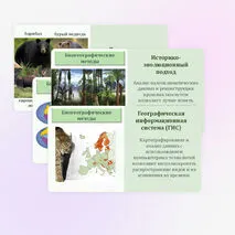 Презентация по биологии 
