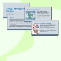 Презентация на тему 