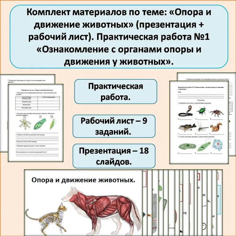 Комплект материалов по теме: «Опора и движение животных» (презентация + рабочий лист). Практическая работа №1 «Ознакомление с органами опоры и движения у животных».