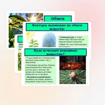 Презентация «Обмен веществ у растений» 6 класс