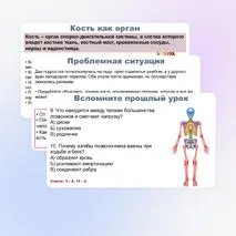 Презентация по биологии (9 класс) 