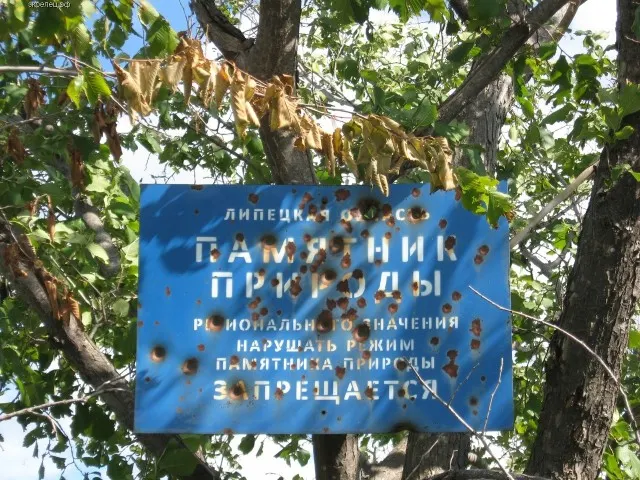 http://ecoelets.ru/wp-content/uploads/2012/06/ee-vorgol-38-640x480.jpg