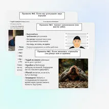 Презентация 
