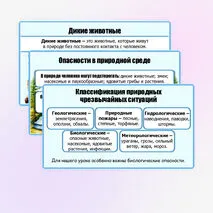 Презентация «Правила безопасного поведения в природной среде». ОБЗР. 9 класс