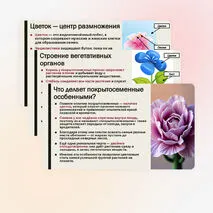 Презентация «Особенности строения и жизнедеятельности покрытосеменных растений»
