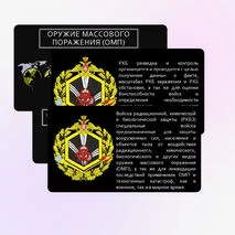 Презентация по ОБЗР 