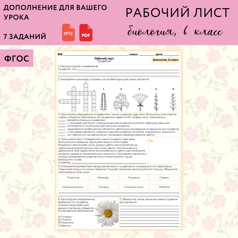 «Соцветия», 6 класс