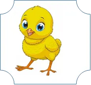 Picture background