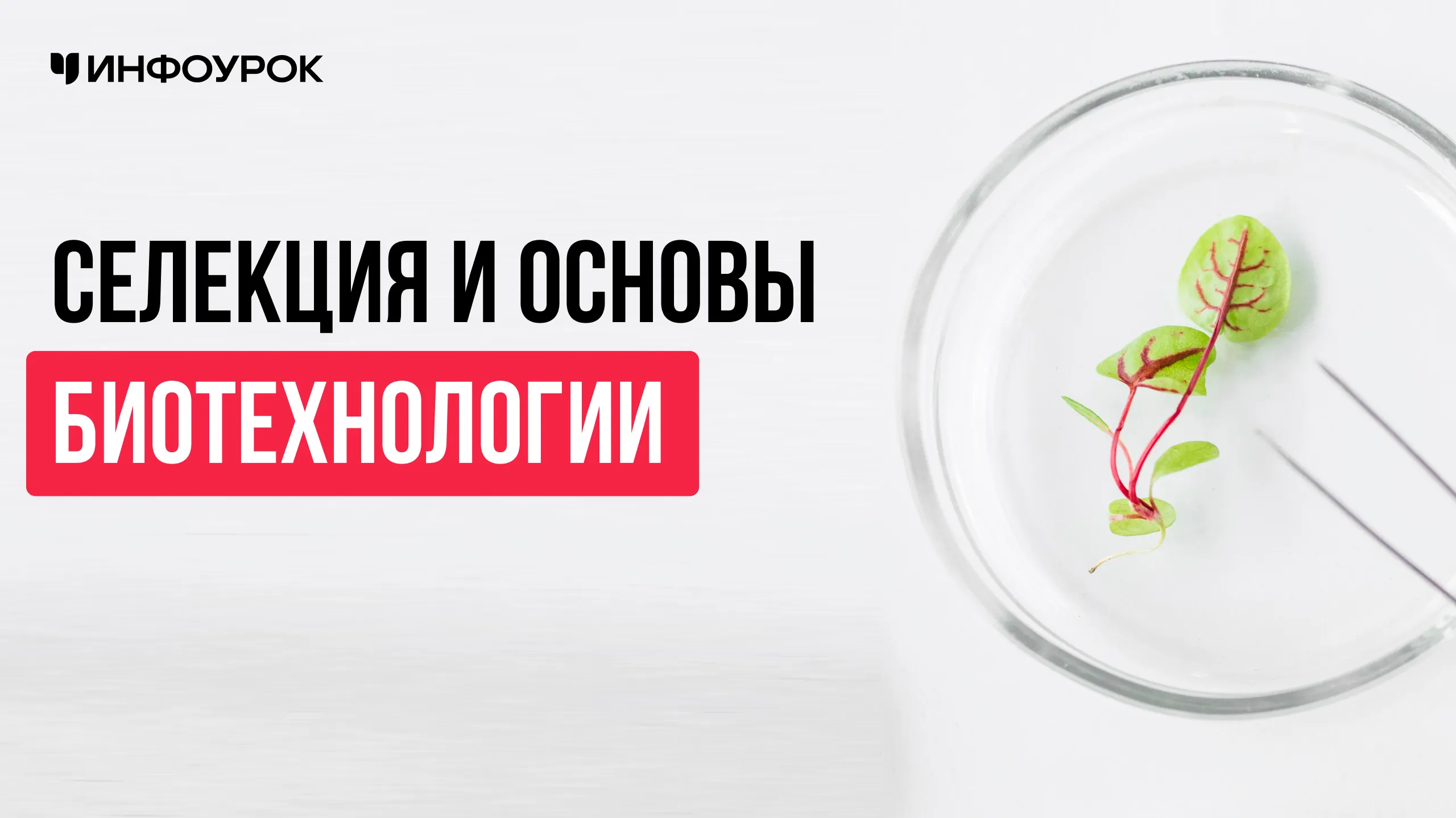 Обложка курса