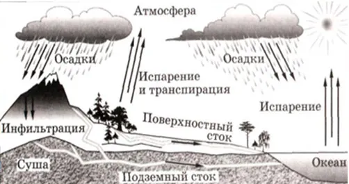 http://festival.1september.ru/articles/574437/img1.jpg