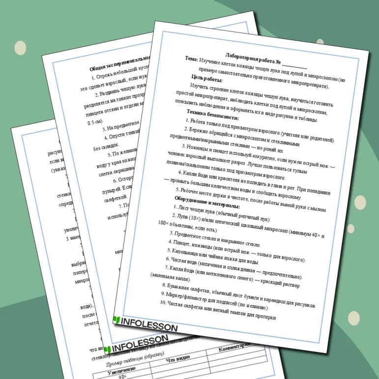Лабораторная работа по биологии на тему: «Изучение клеток кожицы чешуи лука под лупой и микроскопом (на примере самостоятельно приготовленного микропрепарата)»