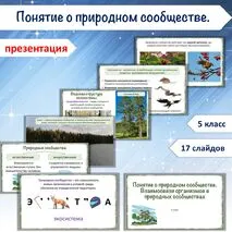 Презентация «Понятие о природном сообществе. Взаимосвязи организмов в природных сообществах», 5 класс