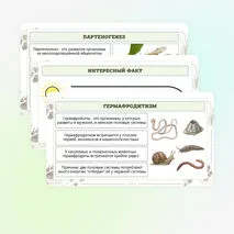 Презентация по биологии «Формы размножения животных»