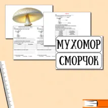 Проверочная работа. Окружающий мир 