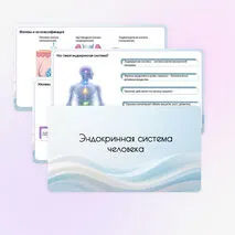 Комплект материалов «Эндокринная система человека» (презентация + рабочий лист) по биологии (9 класс)