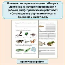 Комплект материалов по теме: «Опора и движение животных» (презентация + рабочий лист). Практическая работа №1 «Ознакомление с органами опоры и движения у животных».