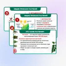 Презентация 