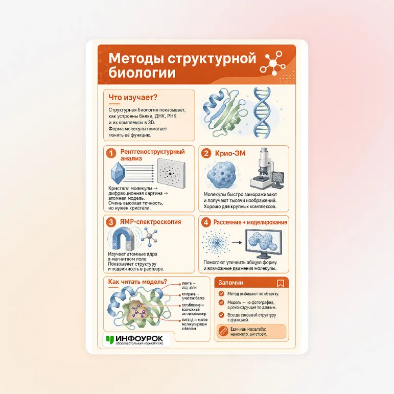 Памятка «Методы структурной биологии»