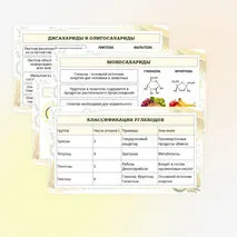 Презентация по биологии «Углеводы. Липиды