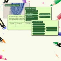 «Растительные ткани, их функции», 6 класс