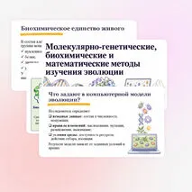 Презентация 