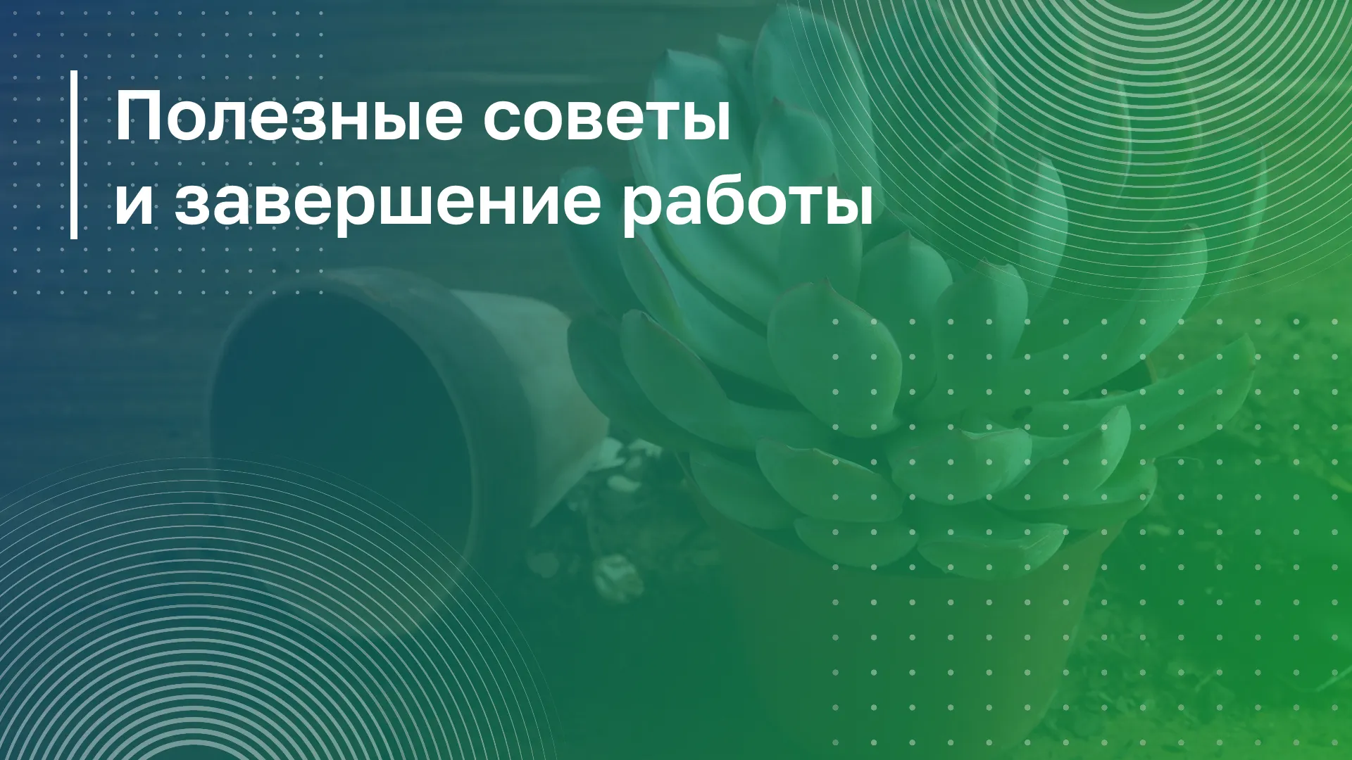Обложка курса