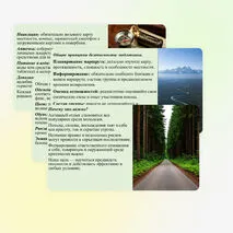 Презентация «Безопасность в природной среде: тактика действий». ОБЗР, 11 класс