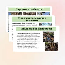 Презентация по биологии «Общая характеристика грибов» 7 класс