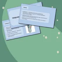 Презентация «Инфузории»