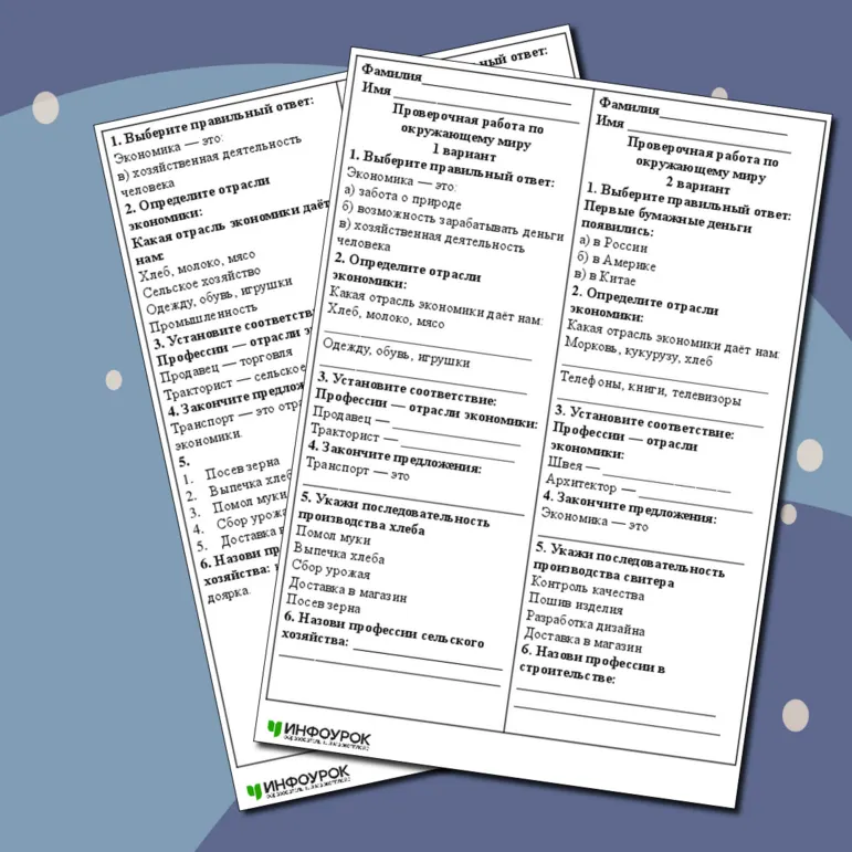 Проверочная работа по окружающему миру «Что такое экономика»