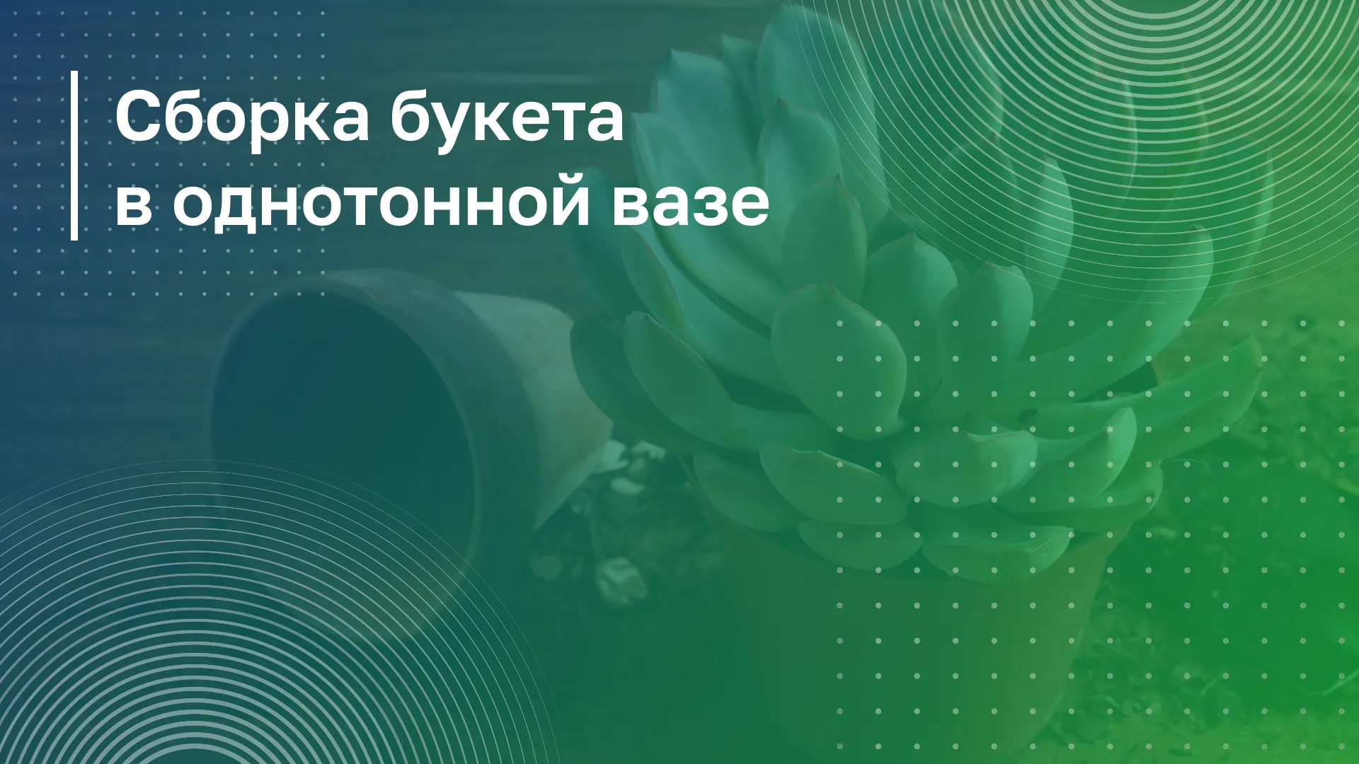 Обложка курса