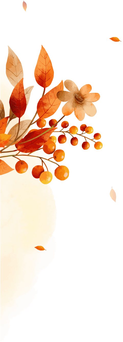 Школьные Инфоконкурсы 2023